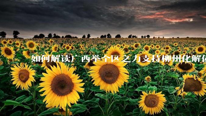 如何解读广西举全区之力支持柳州化解债务？