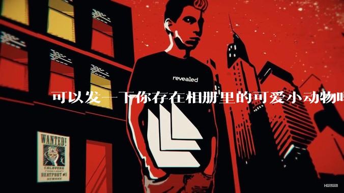 可以发一下你存在相册里的可爱小动物吗？
